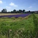 De Nollen شقة