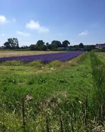 De Nollen Lejlighed
