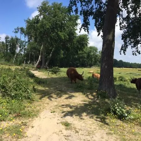 De Nollen Διαμέρισμα Egmond aan den Hoef