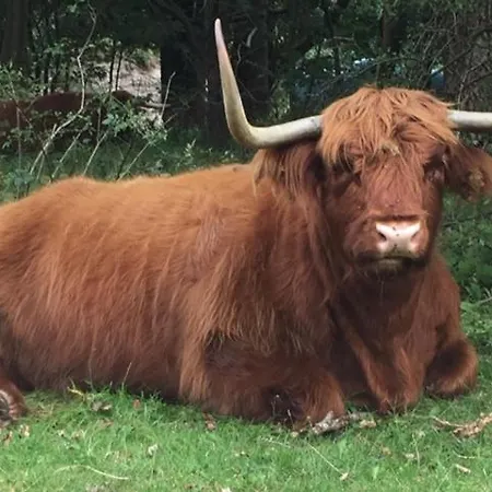 De Nollen Διαμέρισμα