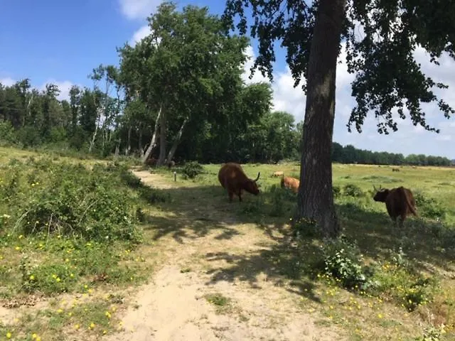 De Nollen شقة إغموند آن دن هوف